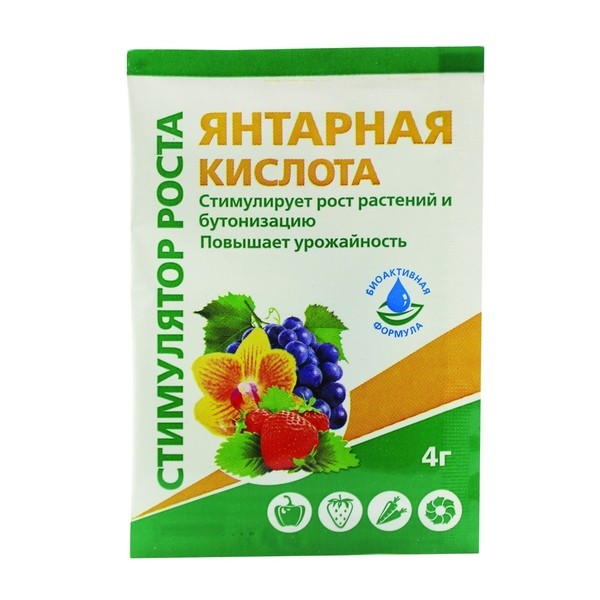 Янтарная кислота, 4 г 