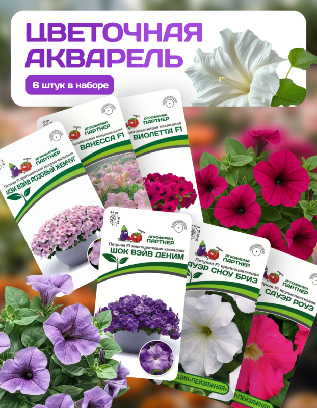 Партнер Набор ЦВЕТОЧНАЯ АКВАРЕЛЬ^ (1шт), изображение 0