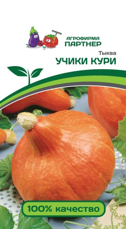 Партнер Тыква УЧИКИ КУРИ ^(10шт), изображение 0